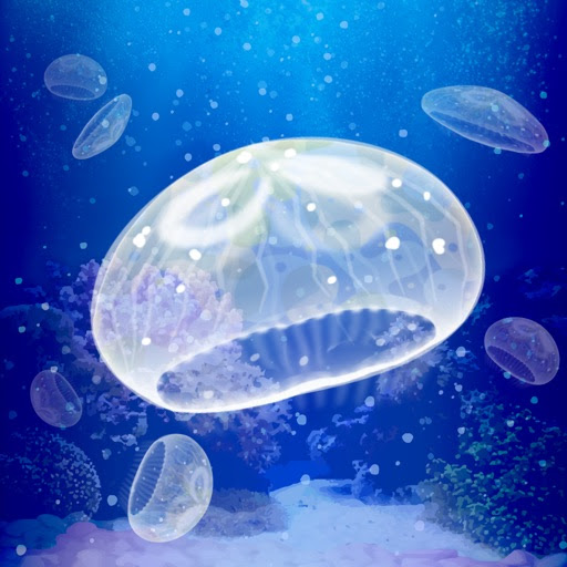 新着壁紙 クラゲ 綺麗 花の画像