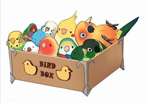 画像をダウンロード 待ち受け ゆるい インコ イラスト かわいい Apixtursae5rpmx