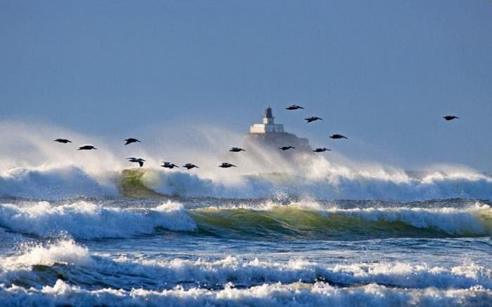 The Colors of the Ocean