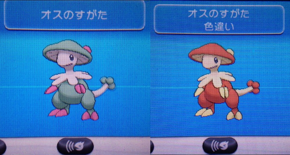 ポケモン アルファ サファイア キノココ 壁紙画像ページ
