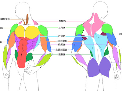 無料イラスト画像 かっこいい 男 背中 イラスト