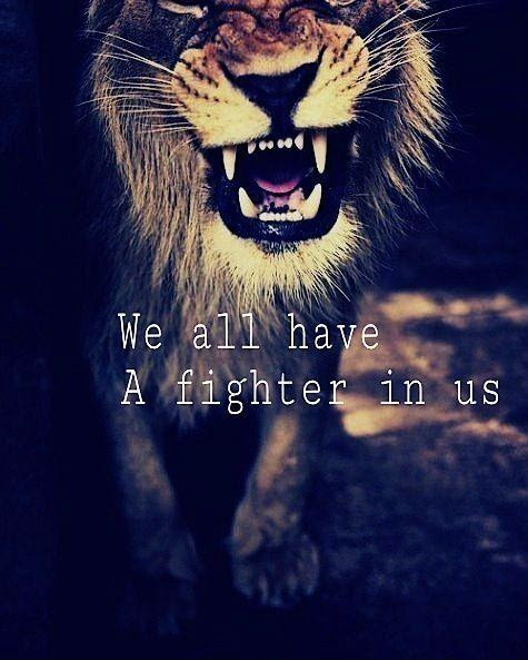 The best fighter is not a boxer. Fighter Quotes Fighter Sayings Fighter Picture Quotes