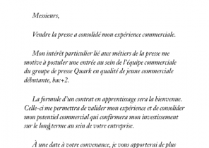 Cv Agent De Nettoyage