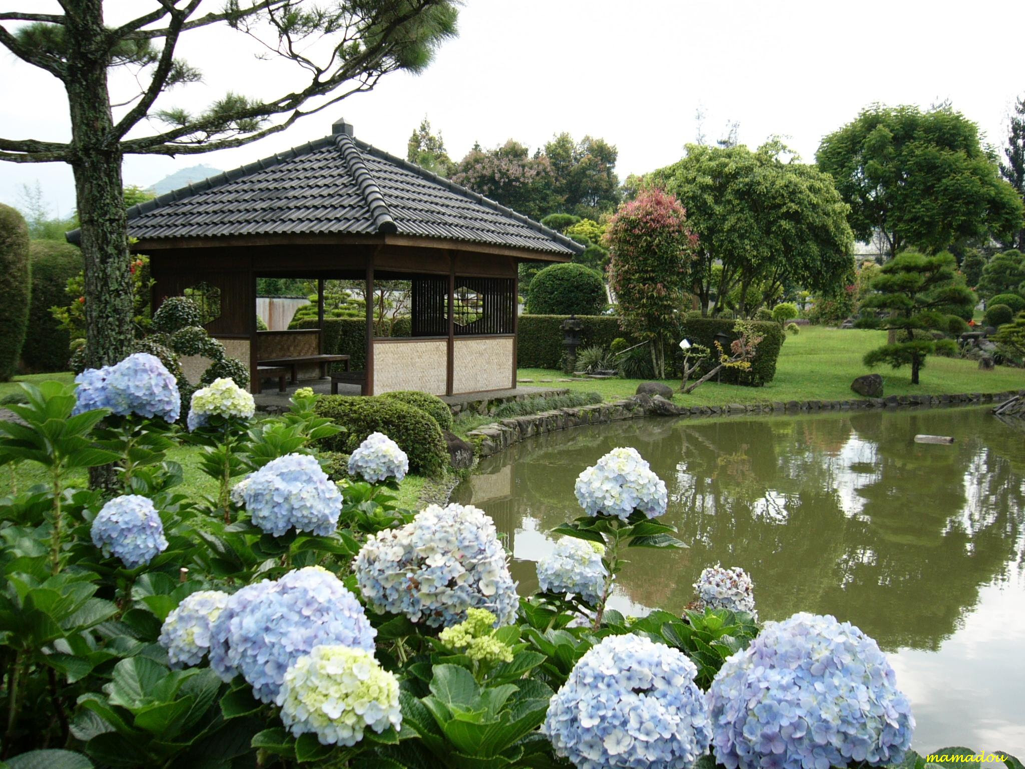  Taman  Jepang  di  AS dan Indonesia BE HAPPY 