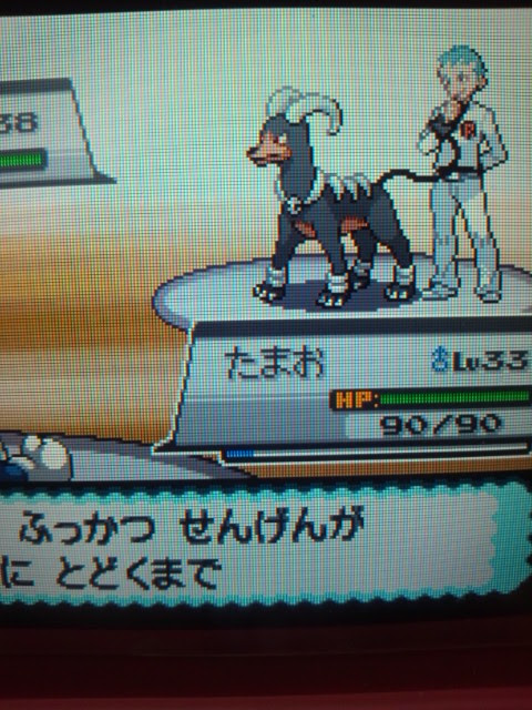 完了しました ポケモン アポロ 手持ち ポケモン アポロ 手持ち