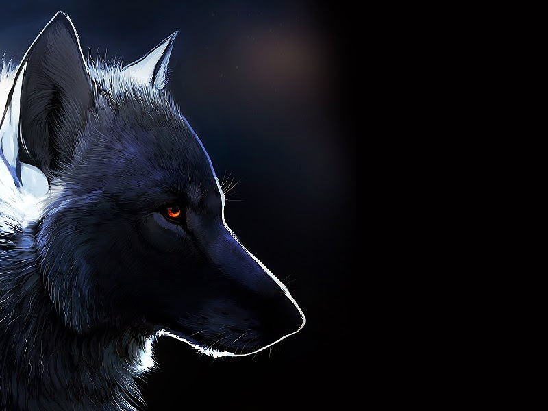 Imagenes para fondo de pantalla de pc de animales. Fondos De Pantalla De Lobos Para Pc Fondos De Pantalla