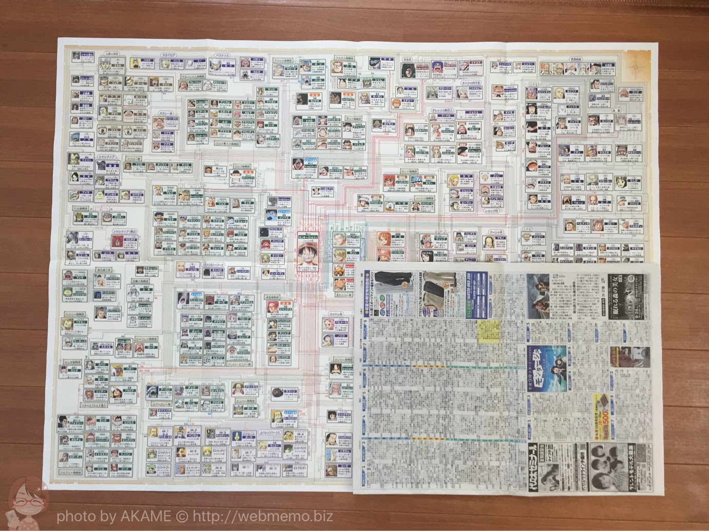 1000以上 ワンピース 相関図 ワンピース 相関図 ルフィ