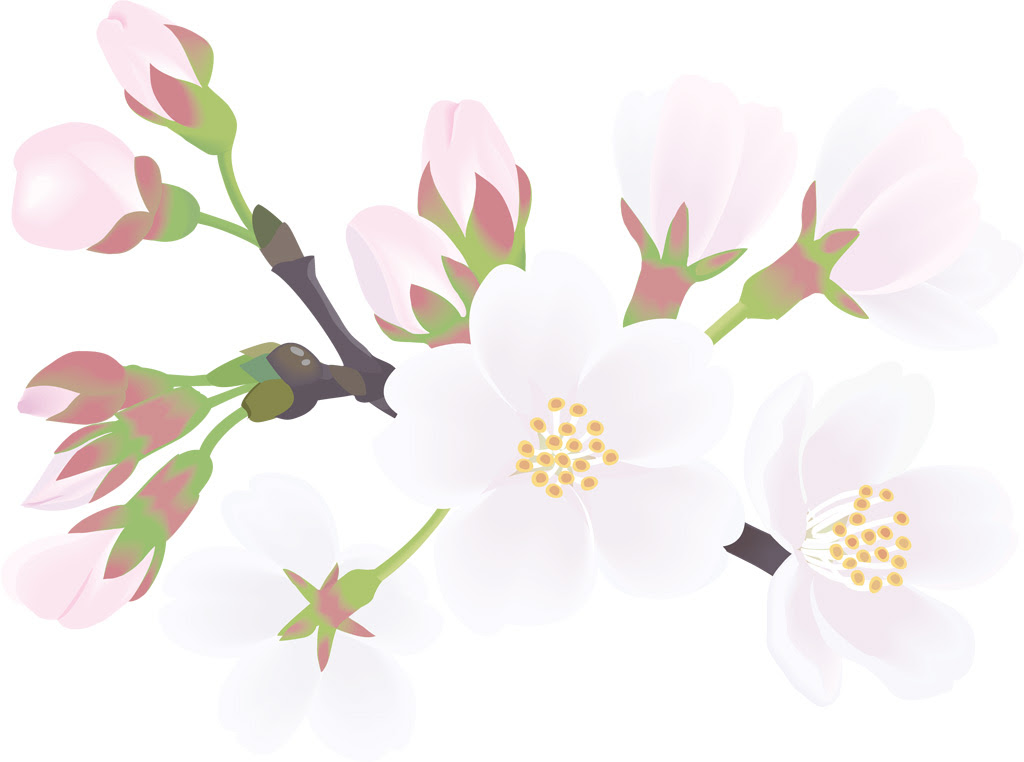 綺麗な桜 つぼみ イラスト ただのディズニー画像
