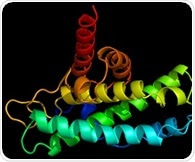 Study: Different strains of same protein may contribute to different Parkinson's-related brain disorders