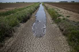 Image result for drought in california