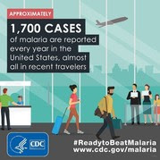 infographic 1700 US travelers get malaria each year