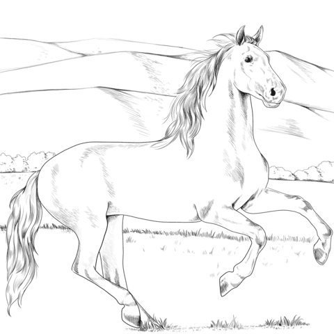 These free printable horse coloring pages online are an easy and convenient way to. Andalusian Horse Coloring Page Free Printable Coloring Pages