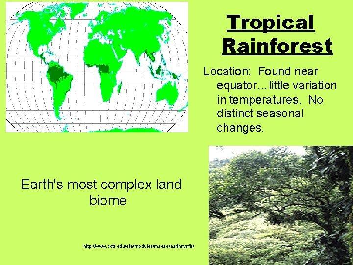 What is a tropical rainforest? Tropical Rainforest Location Found Near Equatorlittle Variation In