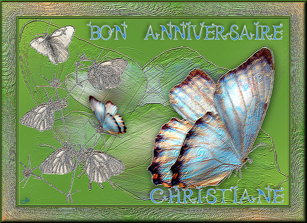 Carte Joyeux Anniversaire Christiane Keith