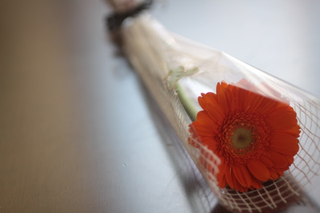 新鮮な卒業 花 一輪 すべての美しい花の画像