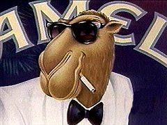 Before i carry out the semiotic analysis of this ad campaign, let me provide some background… Joe Camel Vs Spuds Mackenzie Wwwf Grudge Match