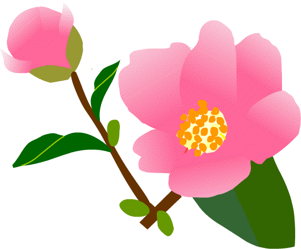 綺麗な椿 花 イラスト 無料 すべてのイラスト画像