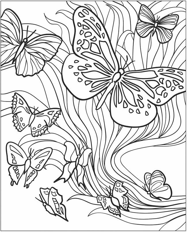 Free Printable Butterfly Coloring Pages For Kids Drawing With Crayons