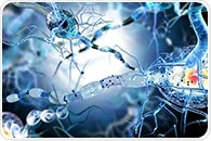 Research could potentially lead to new treatments for neurodegenerative diseases