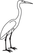 Great Egret