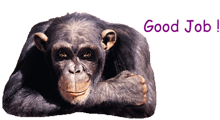 You can create your own gifs and share them among your contacts or groups in whatsapp. Free Funny Moving Cliparts Download Free Funny Moving Cliparts Png Images Free Cliparts On Clipart Library