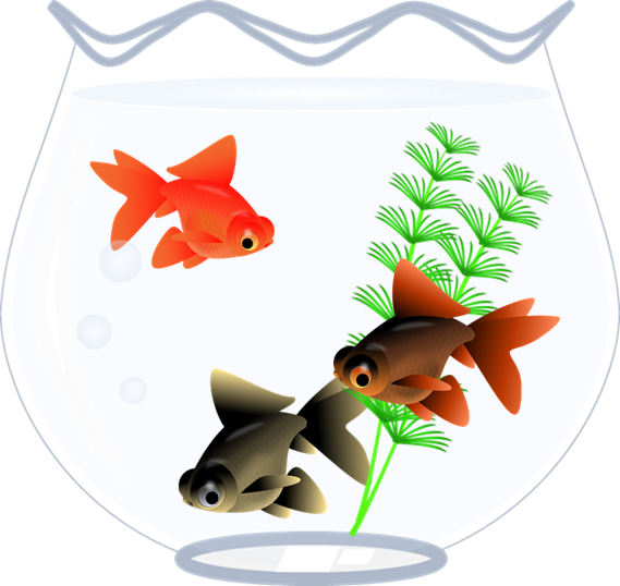 美しい花の画像 100 Epic Bestイラスト 金魚 水草
