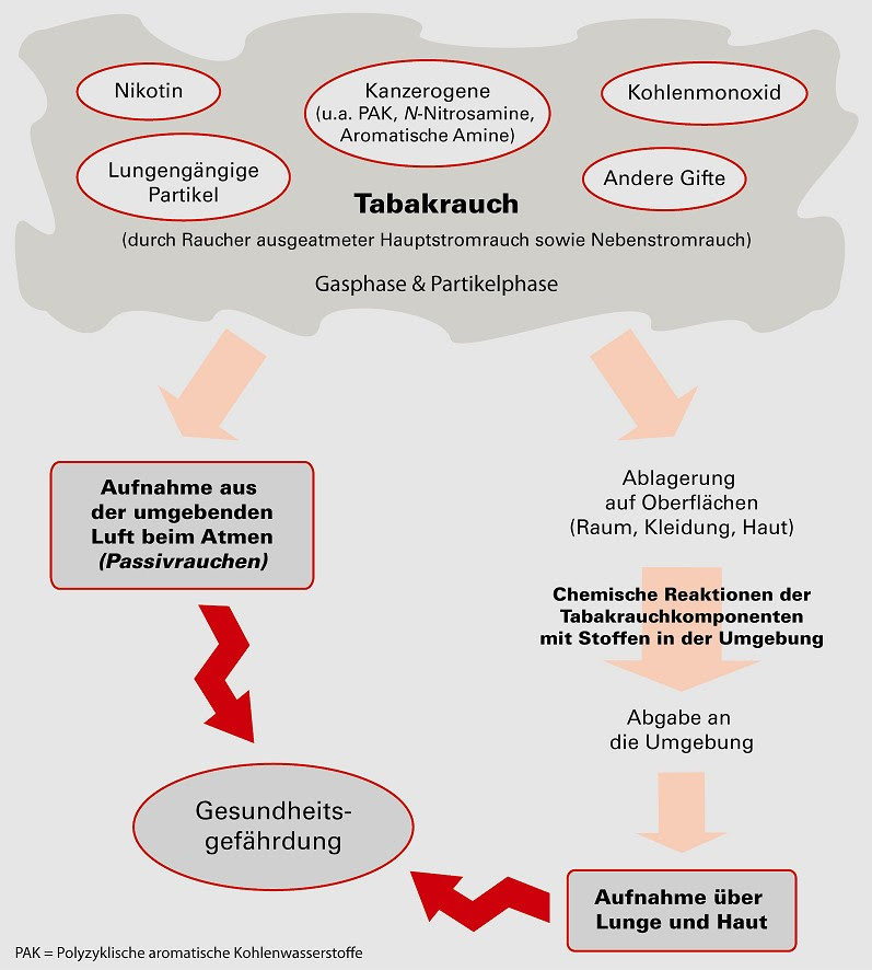 Man geht in ein lokal, bestellt ein bier und zündet sich eine zigarette an. Passivrauchen Tabakrauch In Innenraumen Rauch Staube