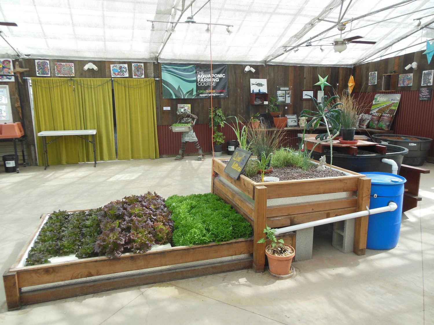 aquaponic classes near me - aquaponic
