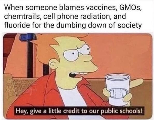 Meme indicating the the public schools are ruing the USA.