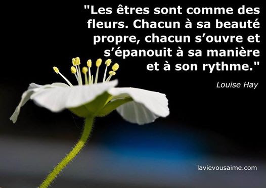 Citation Damour Et Proverbe Best Citations D Amour