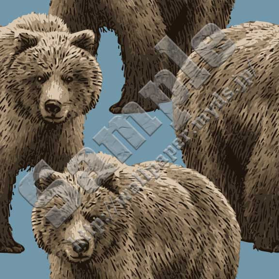 動物画像のすべて 最新リアル 熊 くま イラスト