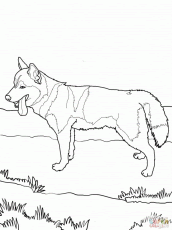 We did not find results for: Alaskan Malamute Coloring Page Clip Art Library