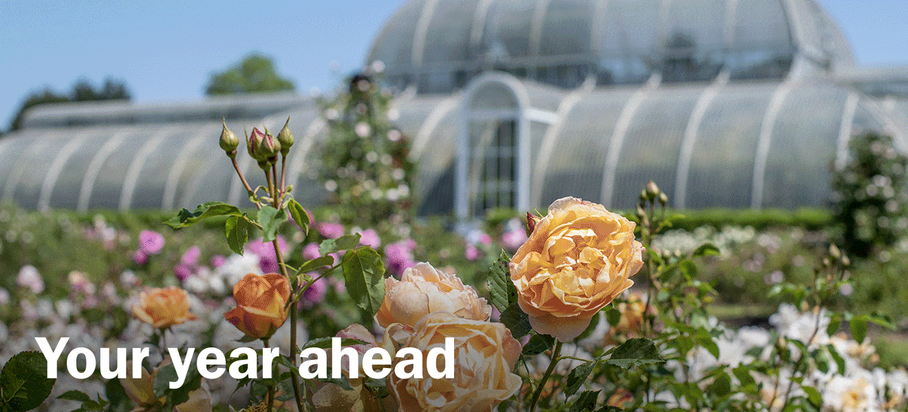 Images of Kew throughout the season . Your year ahead.