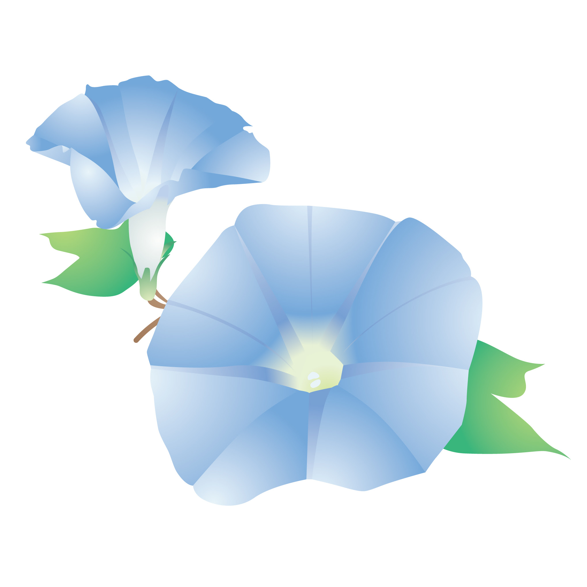 美しい花の画像 最高の7月 花 イラスト