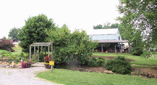 Pine view nursery is listed in the categories nurseries & garden centers, landscape contractors & designers, nursery, garden center, and farm supply stores, retail nurseries & garden stores and nurseries garden and. Pine View Home
