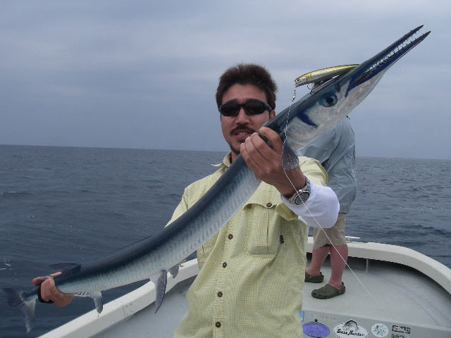 最も共有された くちばし の 長い 魚
