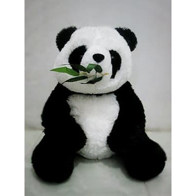  Gambar Boneka Panda  Makan Bambu boneka  baru