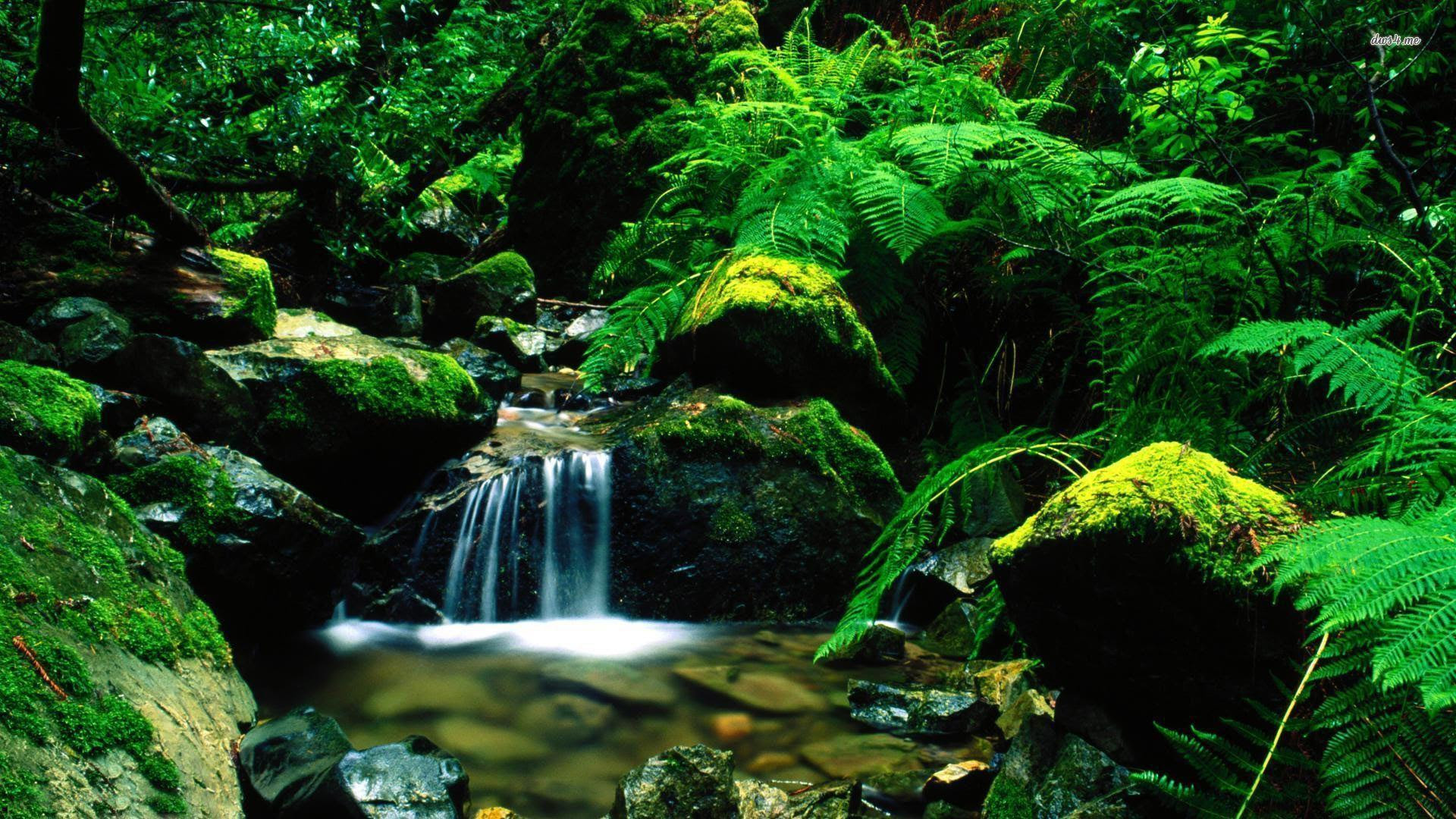 Gambar Air Terjun Bergerak Untuk Wallpaper Gudang Wallpaper
