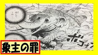 画像 ワンピース 象主 ワンピース 象主 大きさ Stridegasks
