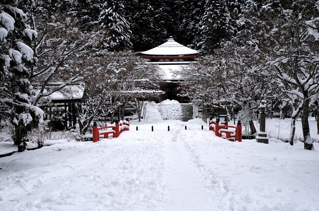 å†™çœŸ: IMGP4268raw