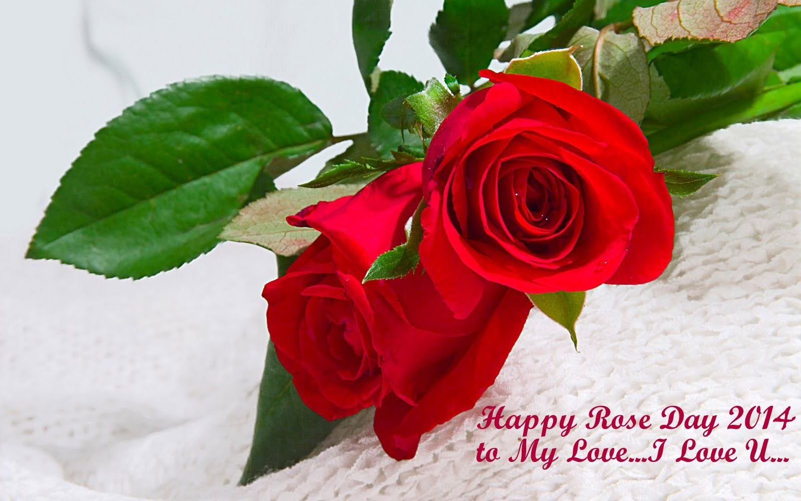 Red Rose Wallpaper With Love Quotes Download