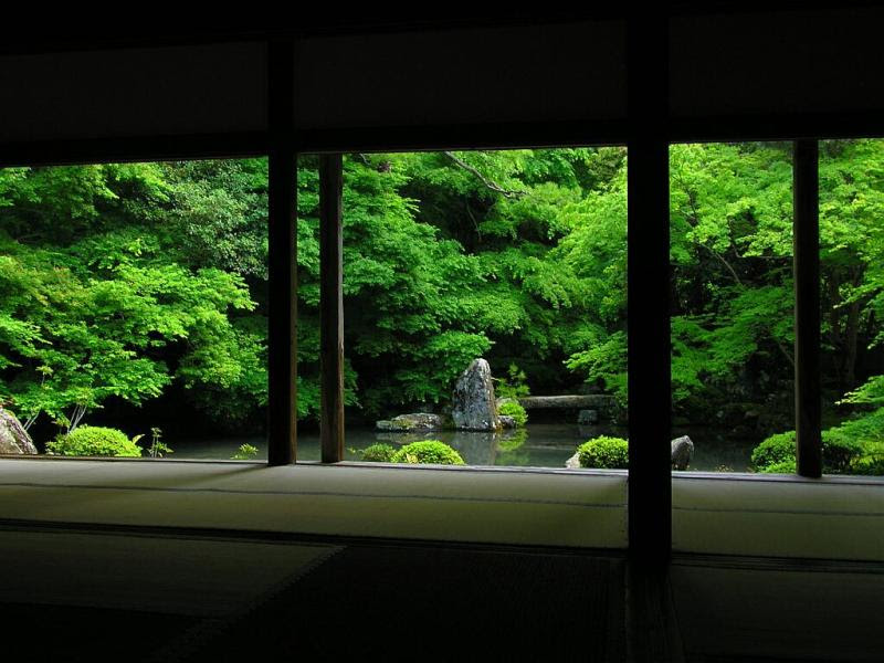 すべての花の画像 ベスト50 リラックス効果 壁紙