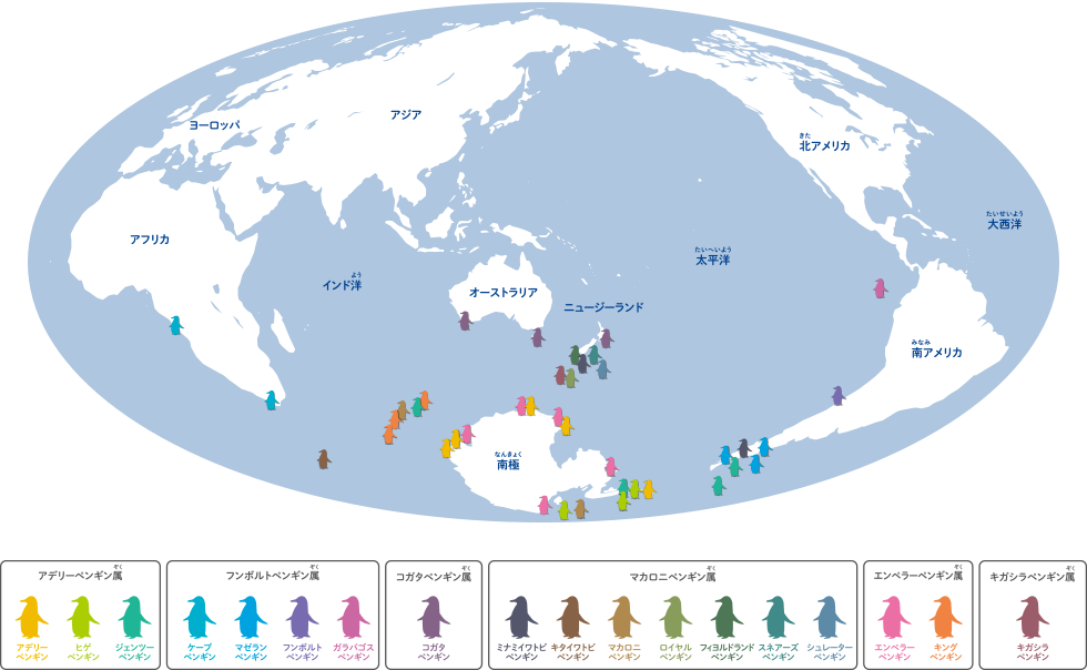 元のペンギン の 生息 地 最高の花の画像