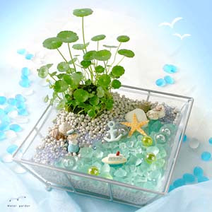 すべての美しい花の画像 上トイレ タンク 飾り