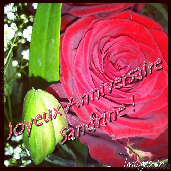 Carte Joyeux Anniversaire Sandrine Maris