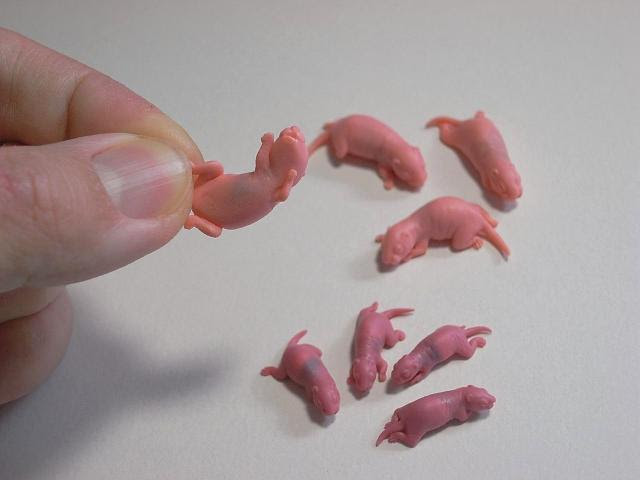 トップ100 動物 フィギュア 作り方 最高の動物画像