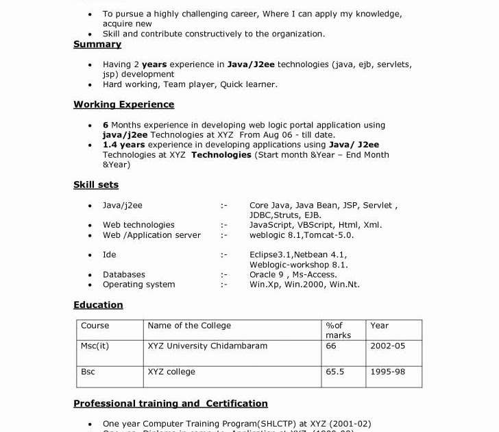 Resume Format For Experienced Person : 11 Amazing ...