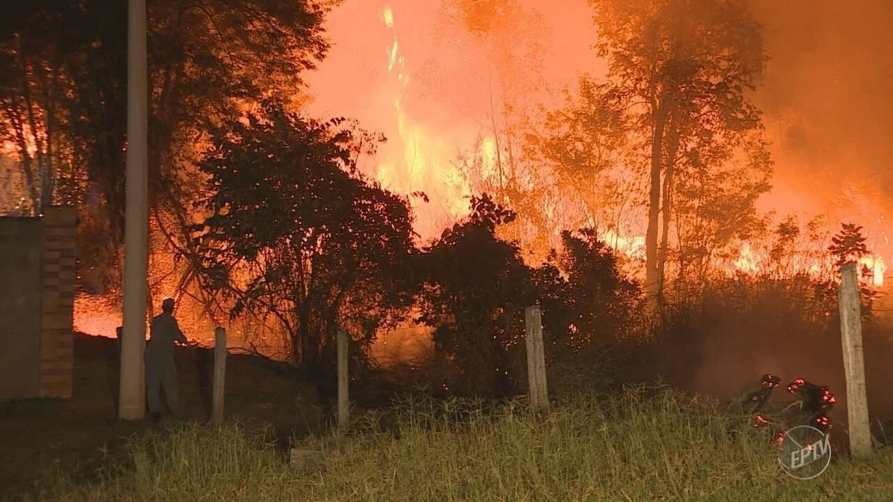 Resultado de imagem para nordestinos apagando fogo