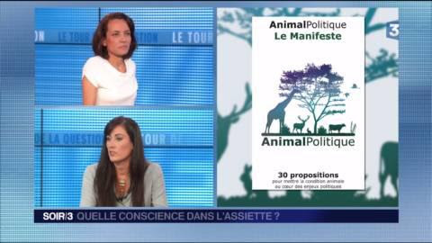 Maltraitance animale : "C'est formidable que la classe politique ait réagi"