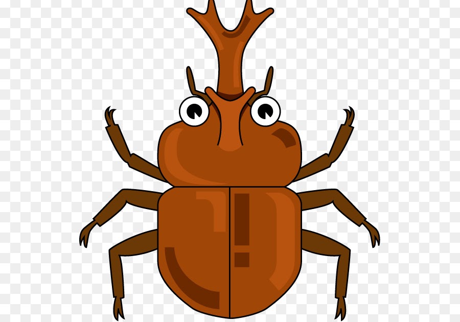 20 Ide Sketsa  Gambar Kumbang  Badak AsiaBateav